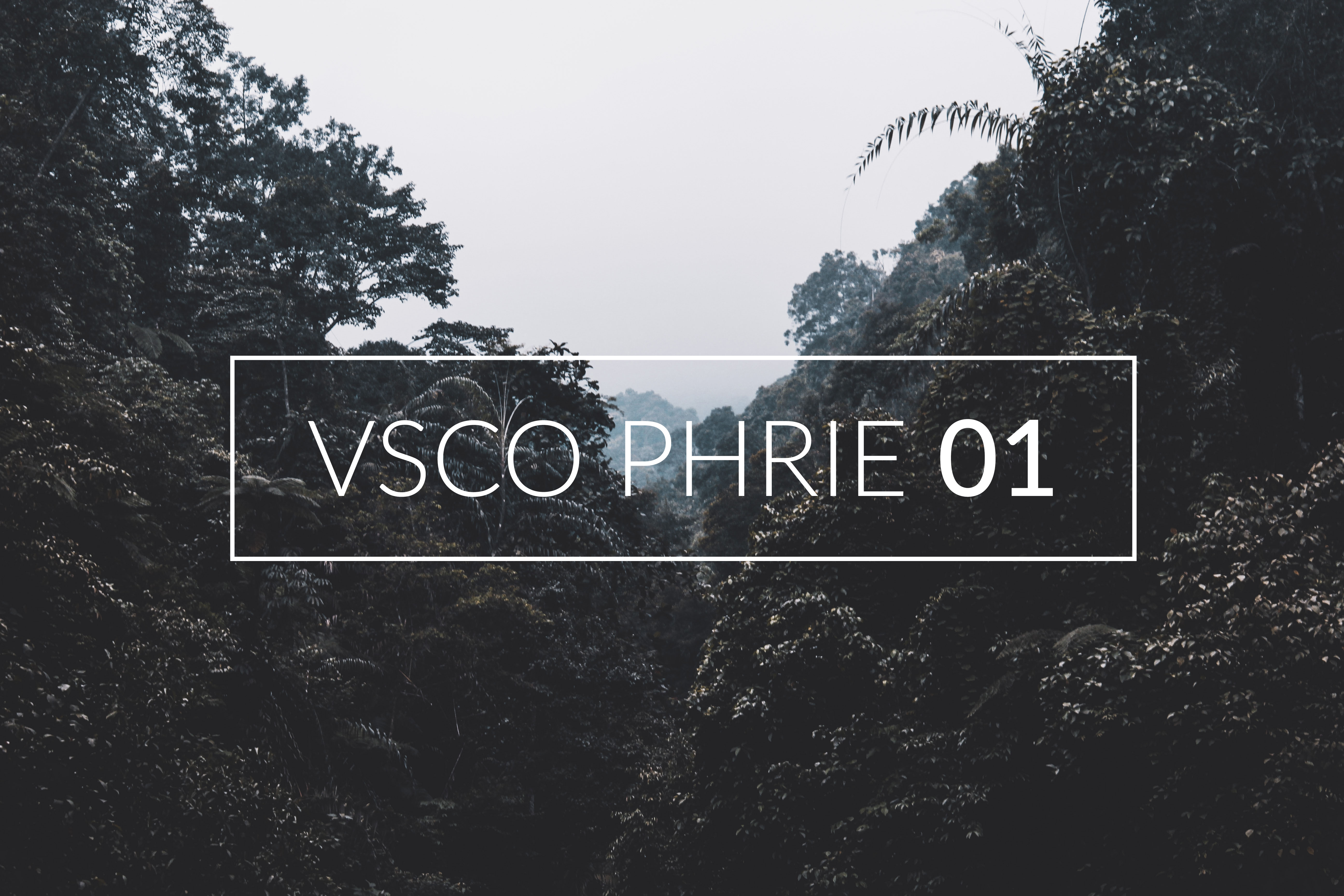 VSCO Phrie 01 PETANI KEYBOARD